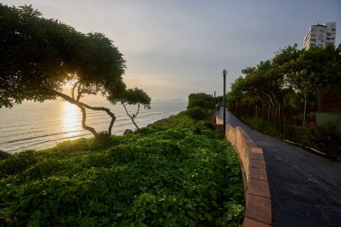 Malecn Miraflores 'in çarpıcı görüntüsü La Costa Verde' nin özünü yakalıyor. Doğanın canlı şehir enerjisiyle buluştuğu yer Miraflores Lima Peru.