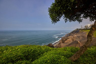 Malecn Miraflores 'in çarpıcı görüntüsü La Costa Verde' nin özünü yakalıyor. Doğanın canlı şehir enerjisiyle buluştuğu yer Miraflores Lima Peru.