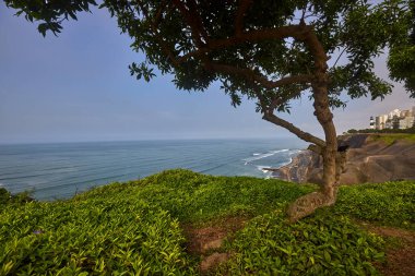 Malecn Miraflores 'in çarpıcı görüntüsü La Costa Verde' nin özünü yakalıyor. Doğanın canlı şehir enerjisiyle buluştuğu yer Miraflores Lima Peru.