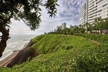 Malecn Miraflores 'in çarpıcı görüntüsü La Costa Verde' nin özünü yakalıyor. Doğanın canlı şehir enerjisiyle buluştuğu yer Miraflores Lima Peru.