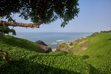 Malecn Miraflores 'in çarpıcı görüntüsü La Costa Verde' nin özünü yakalıyor. Doğanın canlı şehir enerjisiyle buluştuğu yer Miraflores Lima Peru.