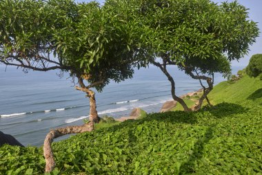 Malecn Miraflores 'in çarpıcı görüntüsü La Costa Verde' nin özünü yakalıyor. Doğanın canlı şehir enerjisiyle buluştuğu yer Miraflores Lima Peru.