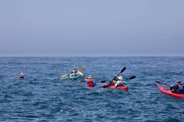 Neşeli bir deniz kanosu macerasına atlayın ve Arequipa Peru 'nun vahşi güzelliklerini keşfedin.