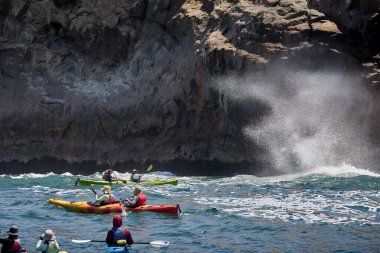 Neşeli bir deniz kanosu macerasına atlayın ve Arequipa Peru 'nun vahşi güzelliklerini keşfedin.