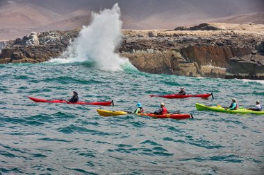 Neşeli bir deniz kanosu macerasına atlayın ve Arequipa Peru 'nun vahşi güzelliklerini keşfedin.
