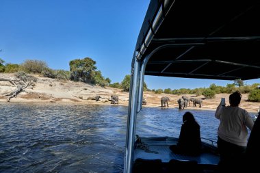 Afrika 'da bir safariye çıkan turistler unutulmaz bir maceraya atılırlar. Dünyadaki en nefes kesici manzaralardan bazılarında. Uçsuz bucaksız savanalardan sık ormanlara.