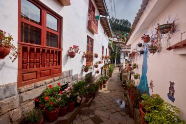 Siete Borreguitos 'u ara. Tarihi San Blas mahallesinin göbeğinde gizli bir mücevher. Koloni evleriyle, canlı çiçeklerle ve antik taş yollarla kaplı bu pitoresk sokak.