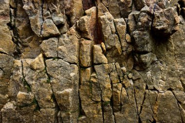 Kayalar doğal olarak minerallerden oluşan katı kümelerdir, ya da bazı durumlarda volkanik cam ya da kömür gibi mineral olmayan katı maddelerdir. Onlar Dünya kabuğunun temel birimleridir.