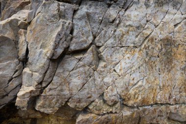 Kayalar doğal olarak minerallerden oluşan katı kümelerdir, ya da bazı durumlarda volkanik cam ya da kömür gibi mineral olmayan katı maddelerdir. Onlar Dünya kabuğunun temel birimleridir.