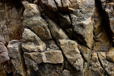 Kayalar doğal olarak minerallerden oluşan katı kümelerdir, ya da bazı durumlarda volkanik cam ya da kömür gibi mineral olmayan katı maddelerdir. Onlar Dünya kabuğunun temel birimleridir.