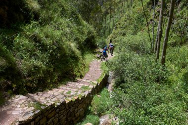 Bu MTB sürücüleri hız, yetenek ve adrenalinin mükemmel bir karışımını benimsiyorlar. And Dağları 'nın nefes kesen arkaplanlarıyla, her iniş antik arazi ve engebeli arazide vahşi bir yolculuktur. Kutsal Vadi Cusco Peru