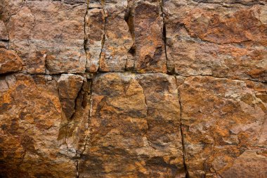 Kayalar doğal olarak minerallerden oluşan katı kümelerdir, ya da bazı durumlarda volkanik cam ya da kömür gibi mineral olmayan katı maddelerdir. Onlar Dünya kabuğunun temel birimleridir.