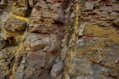 Kayalar doğal olarak minerallerden oluşan katı kümelerdir, ya da bazı durumlarda volkanik cam ya da kömür gibi mineral olmayan katı maddelerdir. Onlar Dünya kabuğunun temel birimleridir.