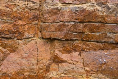 Kayalar doğal olarak minerallerden oluşan katı kümelerdir, ya da bazı durumlarda volkanik cam ya da kömür gibi mineral olmayan katı maddelerdir. Onlar Dünya kabuğunun temel birimleridir.