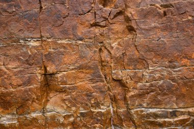 Kayalar doğal olarak minerallerden oluşan katı kümelerdir, ya da bazı durumlarda volkanik cam ya da kömür gibi mineral olmayan katı maddelerdir. Onlar Dünya kabuğunun temel birimleridir.