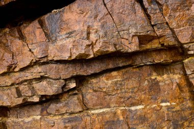 Kayalar doğal olarak minerallerden oluşan katı kümelerdir, ya da bazı durumlarda volkanik cam ya da kömür gibi mineral olmayan katı maddelerdir. Onlar Dünya kabuğunun temel birimleridir.