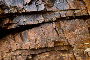 Kayalar doğal olarak minerallerden oluşan katı kümelerdir, ya da bazı durumlarda volkanik cam ya da kömür gibi mineral olmayan katı maddelerdir. Onlar Dünya kabuğunun temel birimleridir.