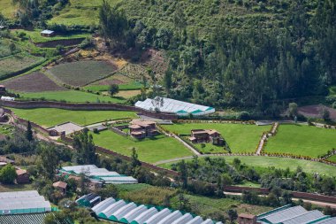 Urubamba Vadisi (Cusco Peru) dikilebilir tarım için elverişli iklim sunmaktadır. Chicon. 