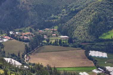 Urubamba Vadisi (Cusco Peru) dikilebilir tarım için elverişli iklim sunmaktadır. Chicon. 