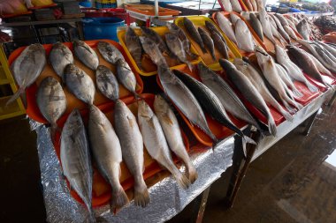 Chorrillos balık pazarı taze ürünler sunuyor 