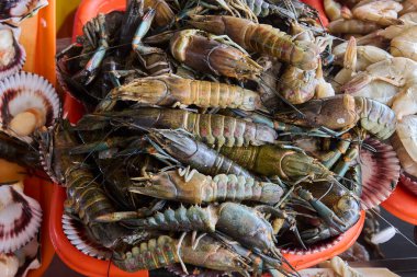 Chorrillos balık pazarı taze ürünler sunuyor 