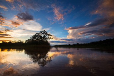Amazon ormanlarında gün batımı, doğanın nefes kesici bir görüntüsüdür. Renklerin büyüleyici bir görüntüsü ve yağmur ormanlarının uçsuz bucaksız genişliğini saran bir sükunet hissi sunar.