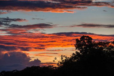 Amazon ormanlarında gün batımı, doğanın nefes kesici bir görüntüsüdür. Renklerin büyüleyici bir görüntüsü ve yağmur ormanlarının uçsuz bucaksız genişliğini saran bir sükunet hissi sunar.