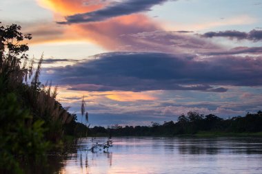 Amazon ormanlarında gün batımı, doğanın nefes kesici bir görüntüsüdür. Renklerin büyüleyici bir görüntüsü ve yağmur ormanlarının uçsuz bucaksız genişliğini saran bir sükunet hissi sunar.