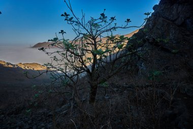 And Dağları sisle örtülmüş mistik ve ruhani bir atmosfer yaratıyor. Sis tepe ve vadilerden geçerken bir gizem unsuru ekliyor..