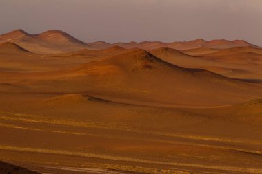 Paracas Ulusal Rezervi hem karayı hem de denizi kapsayan geniş bir koruma alanıdır. Dünya dışı çöl manzaraları, engebeli uçurumları ve eşsiz jeolojik oluşumlarıyla ünlüdür.