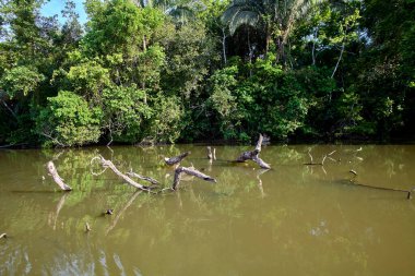 Sandoval Gölü, Peru 'nun güneydoğusundaki Madre de Dios bölgesinde bulunan Tambopata Ulusal Rezervi' de yer alan güzel bir öküz kuşağı gölüdür. Burası eko-turizm ve vahşi yaşam meraklıları için popüler bir yerdir.