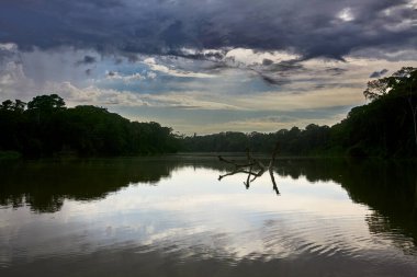 Sandoval Gölü, Peru 'nun güneydoğusundaki Madre de Dios bölgesinde bulunan Tambopata Ulusal Rezervi' de yer alan güzel bir öküz kuşağı gölüdür. Burası eko-turizm ve vahşi yaşam meraklıları için popüler bir yerdir.
