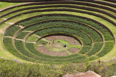 Moray And 'lar, Maras kasabası yakınlarındaki Kutsal Peru Vadisi' nde bulunan antik İnka tarımsal teraslarından oluşan büyüleyici bir set. Bu teraslar eşsiz tasarımı ve amaçları ile ünlüdür..