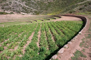 Moray And 'lar, Maras kasabası yakınlarındaki Kutsal Peru Vadisi' nde bulunan antik İnka tarımsal teraslarından oluşan büyüleyici bir set. Bu teraslar eşsiz tasarımı ve amaçları ile ünlüdür..