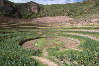 Moray And 'lar, Maras kasabası yakınlarındaki Kutsal Peru Vadisi' nde bulunan antik İnka tarımsal teraslarından oluşan büyüleyici bir set. Bu teraslar eşsiz tasarımı ve amaçları ile ünlüdür..