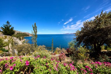 Titicaca Gölü Suasi Adası 'nın gizli taşını keşfetmek. Doğanın sükunetle buluştuğu huzurlu bir kaçış, nefes kesici manzaralar sunuyor ve Peru 'nun zengin kültürüne bir göz atıyor.