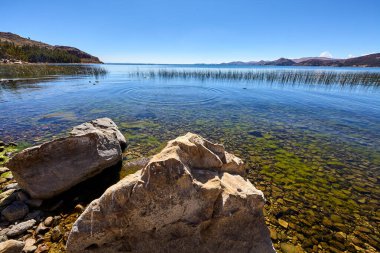 Titicaca Gölü Suasi Adası 'nın gizli taşını keşfetmek. Doğanın sükunetle buluştuğu huzurlu bir kaçış, nefes kesici manzaralar sunuyor ve Peru 'nun zengin kültürüne bir göz atıyor.
