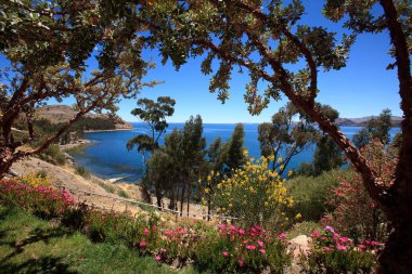 Titicaca Gölü Suasi Adası 'nın gizli taşını keşfetmek. Doğanın sükunetle buluştuğu huzurlu bir kaçış, nefes kesici manzaralar sunuyor ve Peru 'nun zengin kültürüne bir göz atıyor.