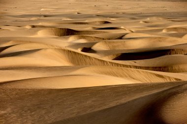 Çöl güneşinin altında sonsuz altın kum dalgaları. Rüzgar ve zamanın oyduğu doğanın başyapıtı. Patitos Plajı Huarmey Peru