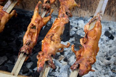Cusco 'da gerçek bir gelenek. Kızarmış kobay ya da' cuy ', tarihte pişirilmiş bir yemek pişirme deneyiminden daha fazlasıdır. Nesillerdir zevk alan bu ikonik And yemeği Perus kültür mirasının zenginliğini yansıtır.