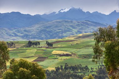 Moray ve Maras yakınlarındaki tarlalarda sonsuz bir güzellik eski tekniklerin nefes kesici manzaralarla buluştuğu yerde. Perus tarım tarihinin kalbi hala burada gelişiyor.