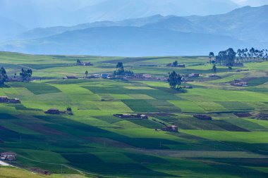 Moray ve Maras yakınlarındaki tarlalarda sonsuz bir güzellik eski tekniklerin nefes kesici manzaralarla buluştuğu yerde. Perus tarım tarihinin kalbi hala burada gelişiyor.