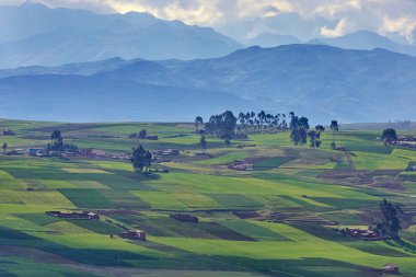 Moray ve Maras yakınlarındaki tarlalarda sonsuz bir güzellik eski tekniklerin nefes kesici manzaralarla buluştuğu yerde. Perus tarım tarihinin kalbi hala burada gelişiyor.