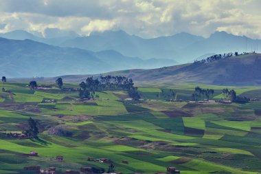 Moray ve Maras yakınlarındaki tarlalarda sonsuz bir güzellik eski tekniklerin nefes kesici manzaralarla buluştuğu yerde. Perus tarım tarihinin kalbi hala burada gelişiyor.