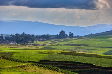 Moray ve Maras yakınlarındaki tarlalarda sonsuz bir güzellik eski tekniklerin nefes kesici manzaralarla buluştuğu yerde. Perus tarım tarihinin kalbi hala burada gelişiyor.