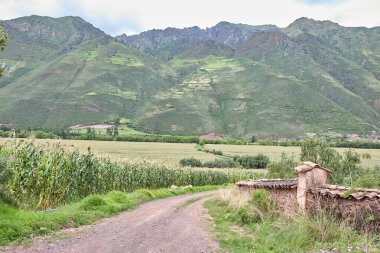 Peru 'nun kutsal vadisi sadece tarihi ve kültürel harikaların hazinesi değil aynı zamanda açık hava ve macera meraklıları için de bir cennettir..