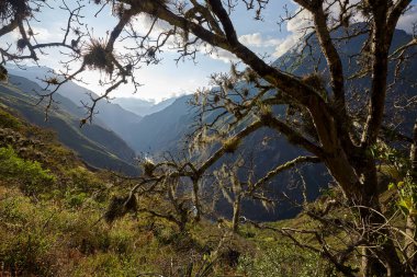 Choquequiraos engebeli arazisi her adımda macera ruhunu sınar. Zaman ve doğa tarafından oyulmuş bu dramatik And yamaçları Perus 'un en hayranlık uyandıran gizli hazinelerinden birine öncülük eder..