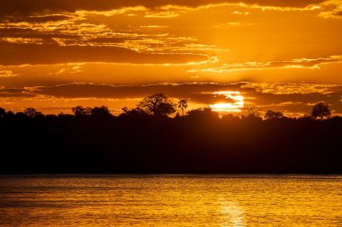 A sunset over the Zambezi River is a breathtaking sight. Imagine the sky painted in shades of orange, pink, and purple, reflecting off the smooth waters of the river. The sun hovers just above the horizon,  golden rays across the landscape