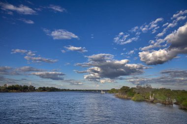 A sunset over the Zambezi River is a breathtaking sight. Imagine the sky painted in shades of orange, pink, and purple, reflecting off the smooth waters of the river. The sun hovers just above the horizon,  golden rays across the landscape