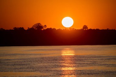 A sunset over the Zambezi River is a breathtaking sight. Imagine the sky painted in shades of orange, pink, and purple, reflecting off the smooth waters of the river. The sun hovers just above the horizon